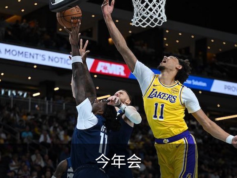 今年会简介